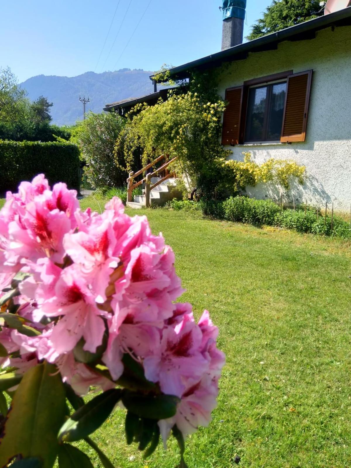 Villa Anna โซริโค ภายนอก รูปภาพ